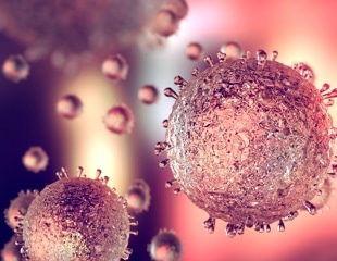 Giant Virus with A Massive Genome and Unusual Infection Strategy