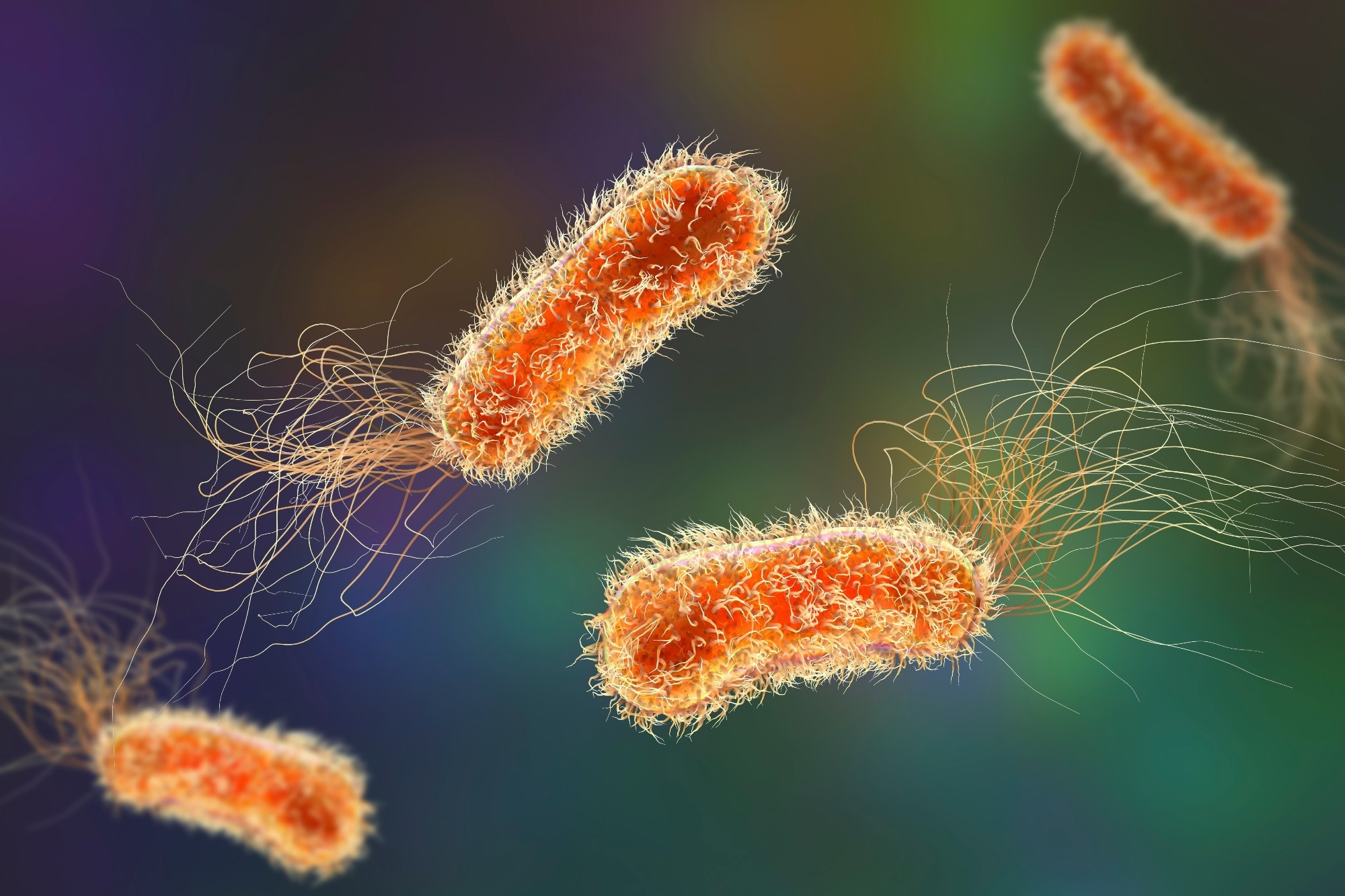 3D illustration of Pseudomonas bacteria. Gram-negative rod shaped bacteria with flagella. Commonly associated with healthcare-associated infections, particularly respiratory tract and wound infections,