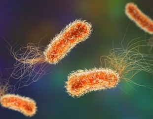 How Far-Red Light Stops Biofilms in Drug-Resistant Bacteria