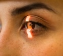 Postmortem Human Retinas Recover Neural Light Signals