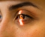 Postmortem Human Retinas Recover Neural Light Signals