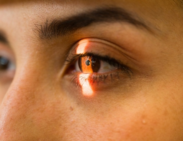 Postmortem Human Retinas Recover Neural Light Signals