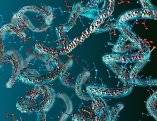 New Insights into TRiC and Prefoldin Mechanics