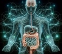 Human 3D Model Shows How the Gut Drives Neurodegeneration