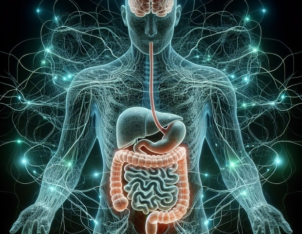Human 3D Model Shows How the Gut Drives Neurodegeneration