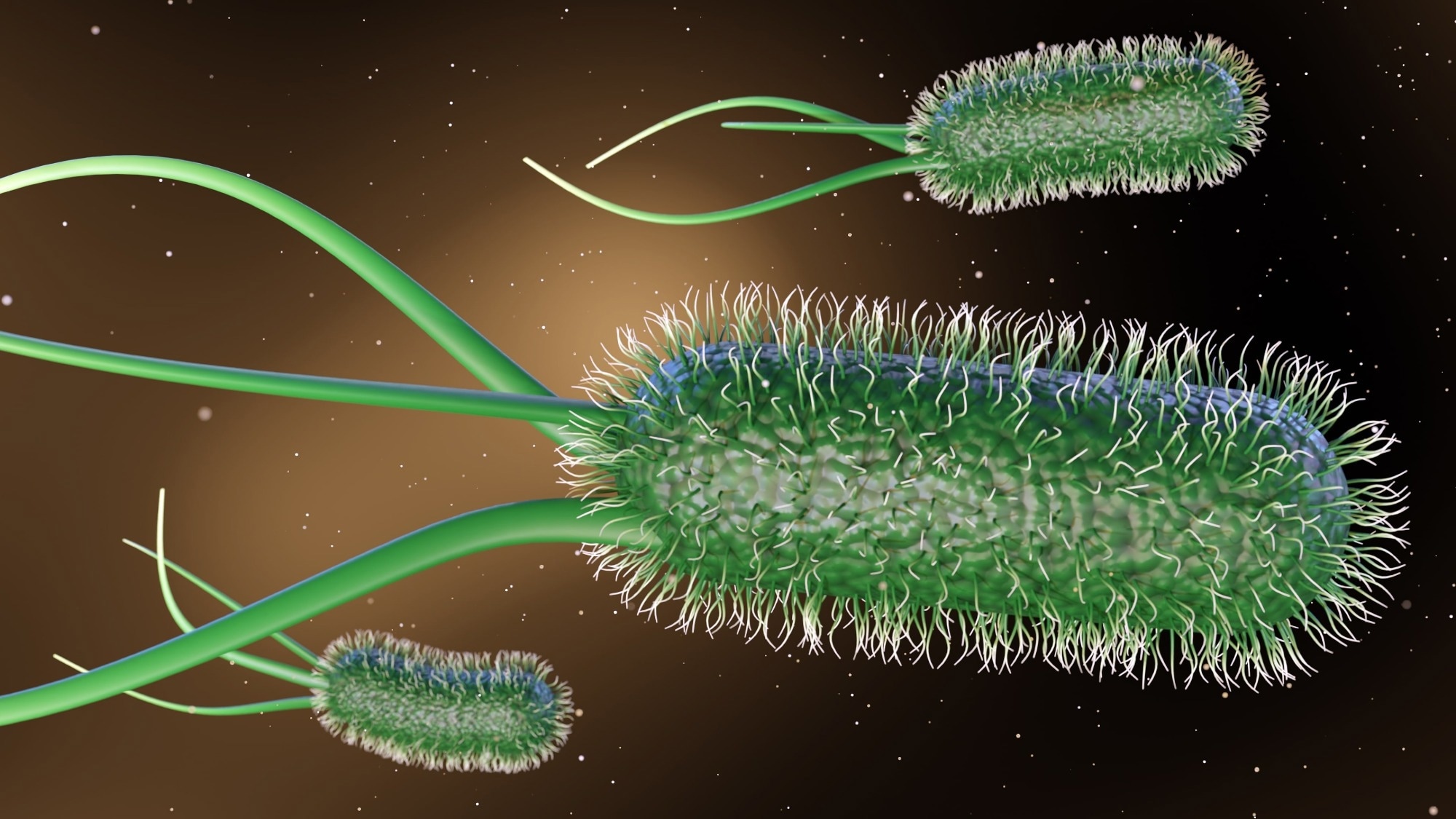 3d rendering of Escherichia coli, commonly known as E. coli