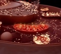 Mitochondria Unveiled as the Cell’s Lipid Regulators