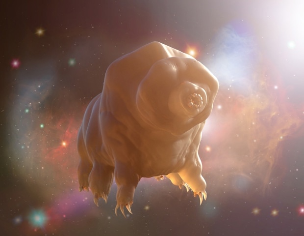 Mars Soil May Harm Living Organisms