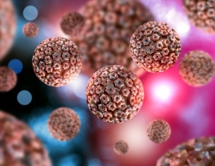 Herpes “Liquefies” Human Cells to Speed up Infection