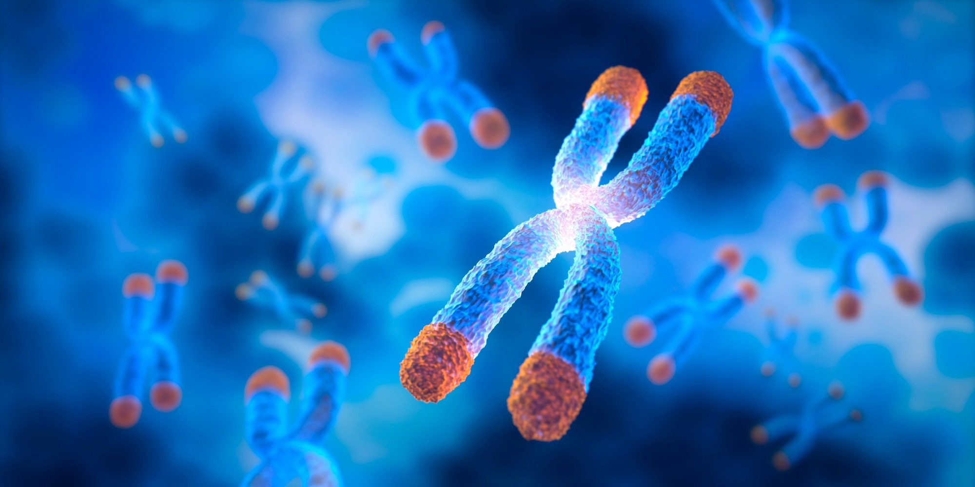 3Chromosome with Telomere and bubble floating on blue background - 3D illustration