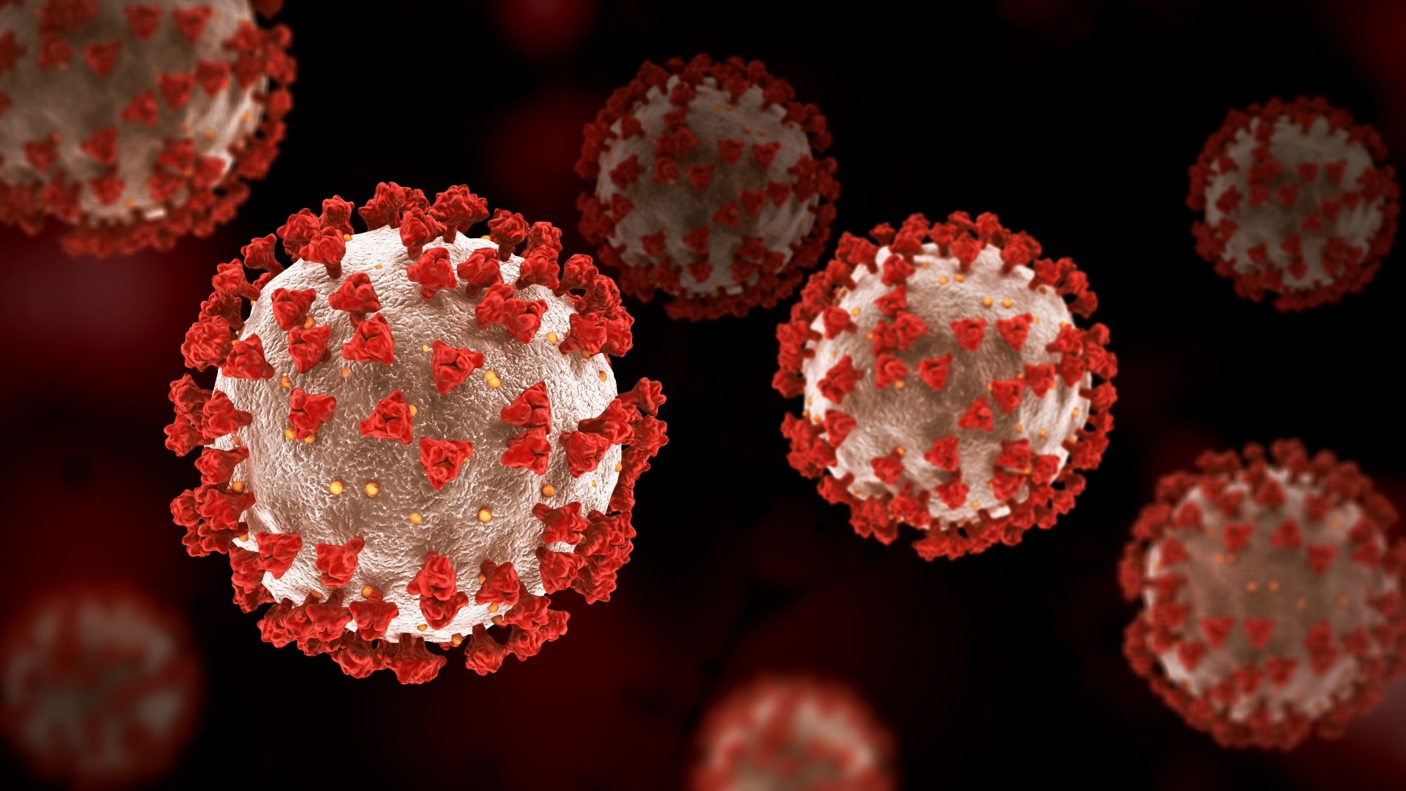coronavirus or virus macro shot 3d illustration