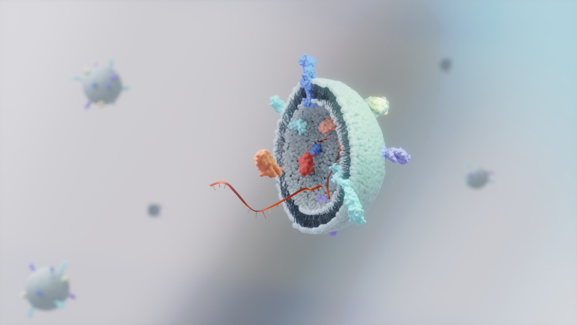 3D illustration of the small extracellular vesicles (exosomes, MVs)