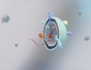 EV Engineering Boosts Drug Delivery and Improves Sepsis Survival