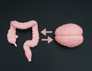 Reversing Memory Loss in Aging Mice by Targeting Gut Bacteria