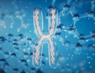 Researchers Identify the Nuclear Root of Cellular Aging