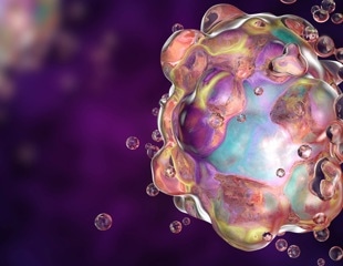 How Cancer Cells Evade Chemotherapy-Induced Apoptosis