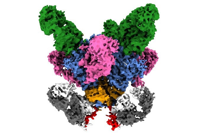 New Imaging Approach Unlocks Hidden Antibody Interactions at the Viral Surface