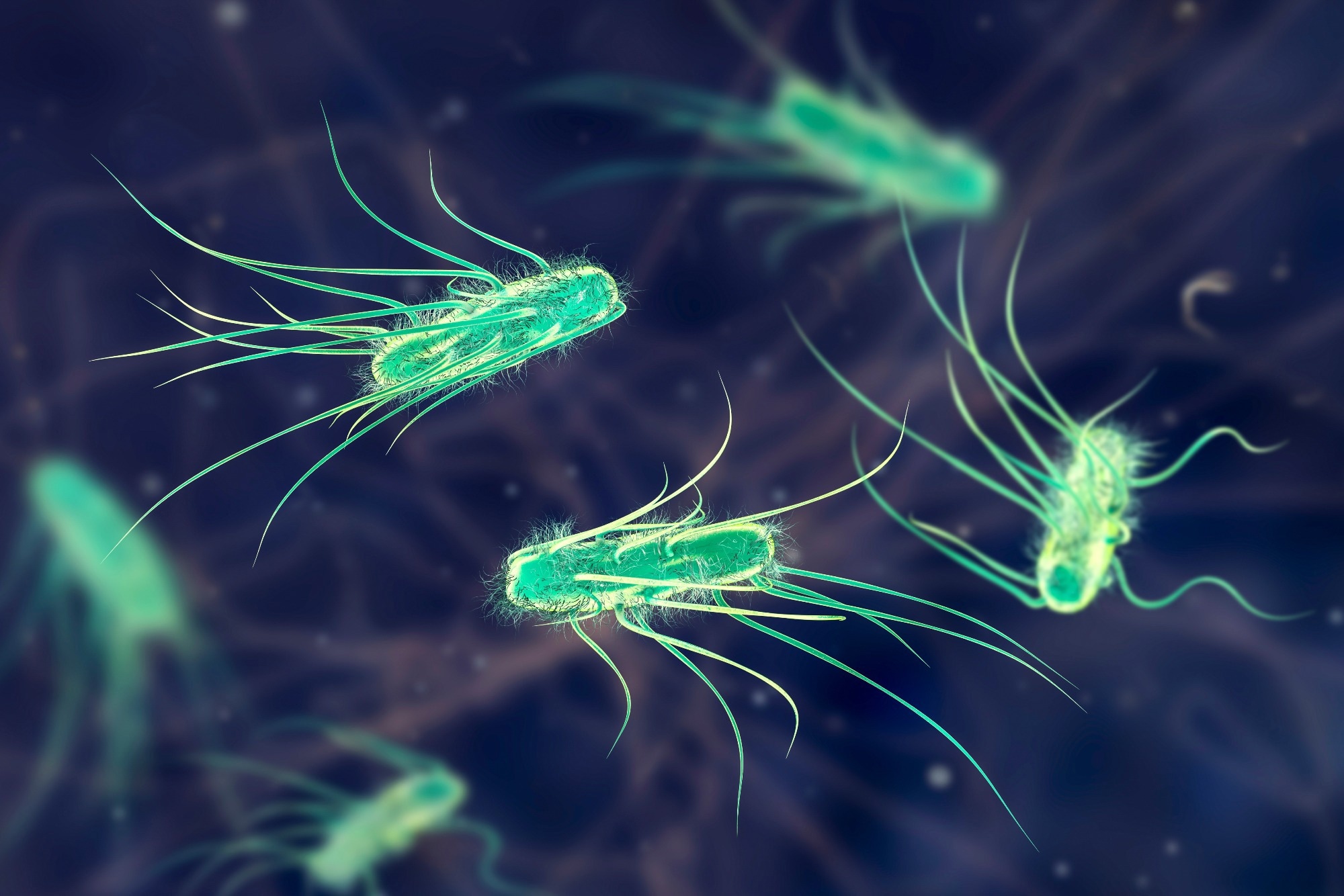 Escherichia coli bacteria, 3D illustration. E. coli is a Gram-negative rod-shaped motile bacterium covered with flagella