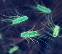How Microbes Use Opposing Signals To Catch Moving Nutrients