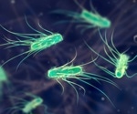How Microbes Use Opposing Signals To Catch Moving Nutrients