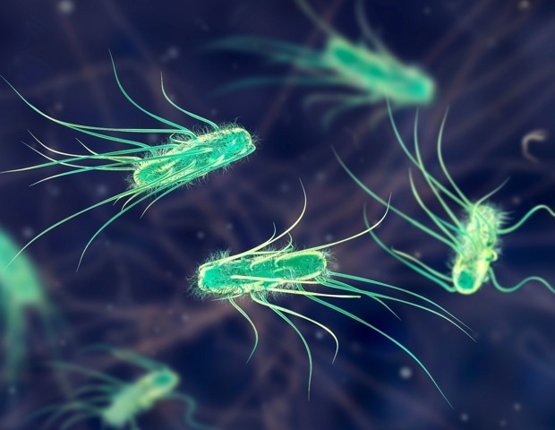 How Microbes Use Opposing Signals To Catch Moving Nutrients