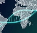 1,116 Genomes Mapped to Reveal Hidden Human DNA Variation
