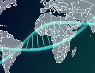 1,116 Genomes Mapped to Reveal Hidden Human DNA Variation