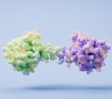 Protein Shape Changes Come Into Focus With LiP-MS and 3D Proteomics
