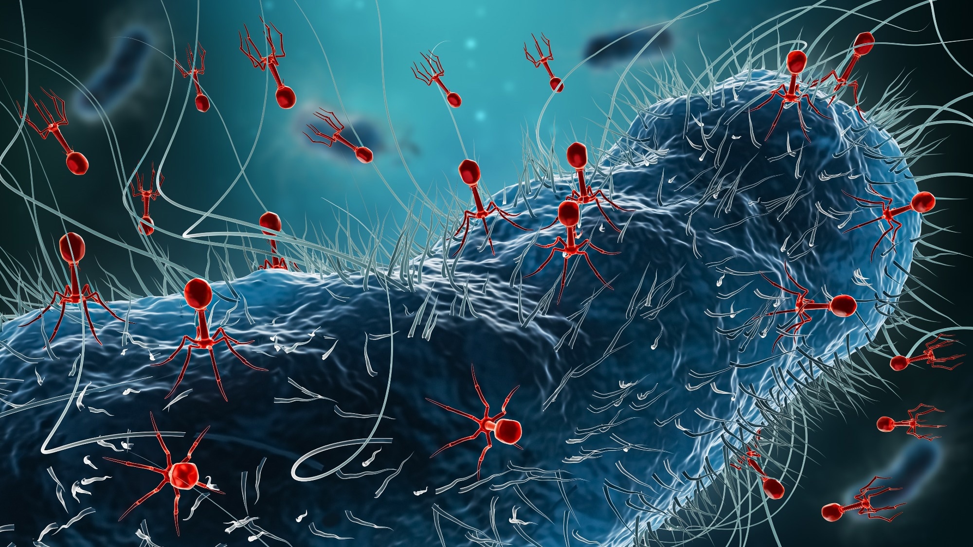 Generic bacteria such as Escherichia coli infected by group of phages or bacteriophages 3D rendering illustration.