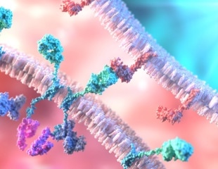 New Pipeline Sharpens Single-Cell Profiling of CAR Immune Therapies