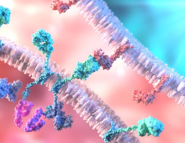 New Pipeline Sharpens Single-Cell Profiling of CAR Immune Therapies