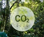 Extreme Hot-Wet Weather Drove Record CO₂ Surge In 2024