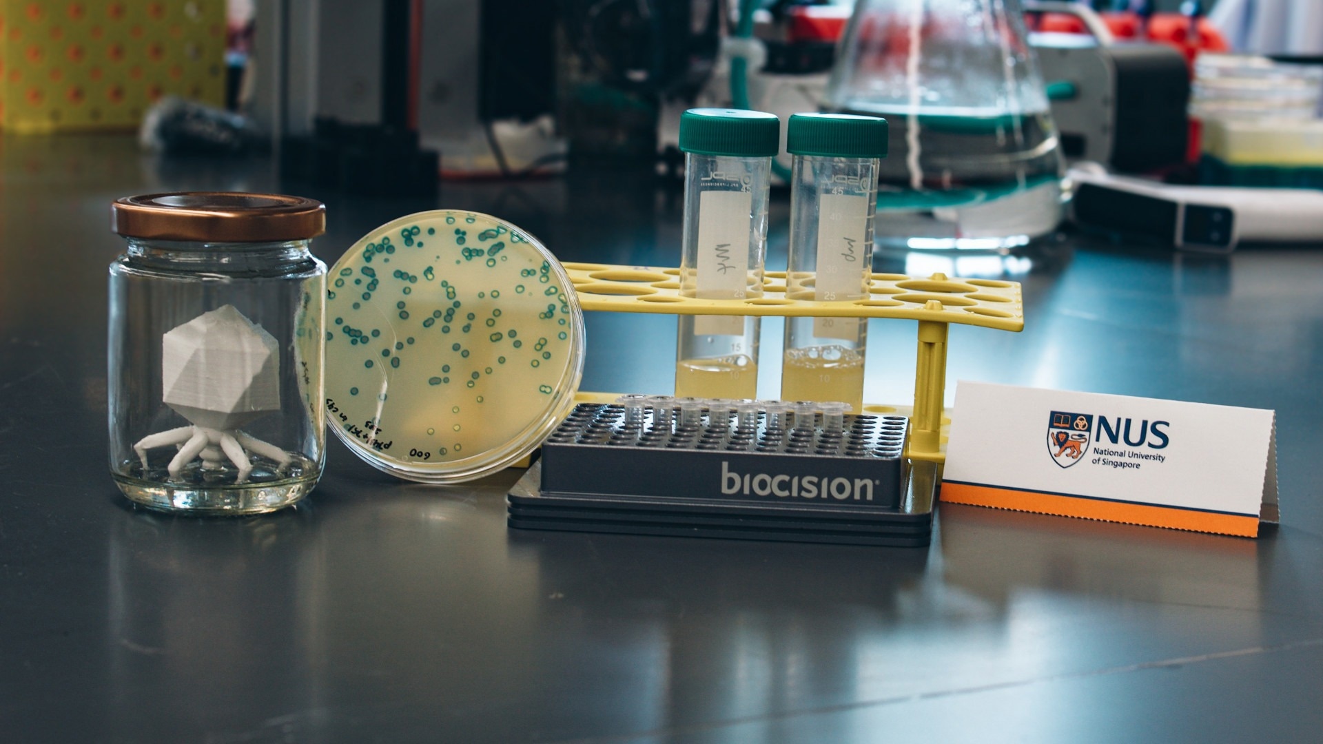 Engineered Bacteriophage Speeds up the "Training" of Plastic-Eating Bacteria