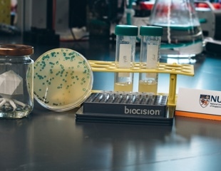 Engineered Bacteriophage Speeds up the "Training" of Plastic-Eating Bacteria