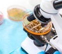 New Single-Cell Technique Reveals Why Bacteria Survive Antibiotics