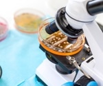 New Single-Cell Technique Reveals Why Bacteria Survive Antibiotics