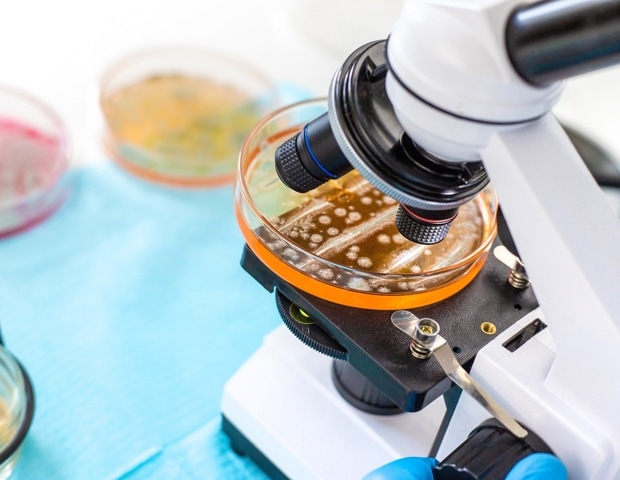 New Single-Cell Technique Reveals Why Bacteria Survive Antibiotics