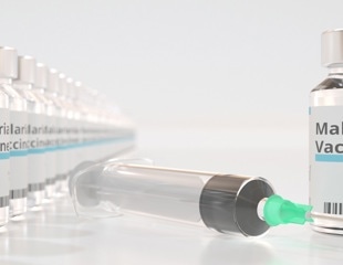 Heat-Stable Malaria Vaccine That Stops Spread By Mosquitoes