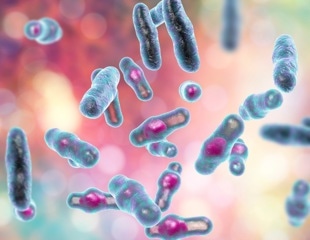 New Data Suggest Ready-to-Eat Meats Rarely Reach Illness-Linked Bacterial Levels