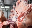 X-Ray Finds Hidden Metal in Beef Where Metal Detectors and Ultrasound Fall Short