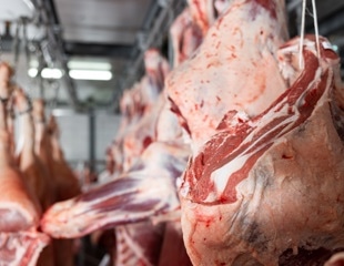 X-Ray Finds Hidden Metal in Beef Where Metal Detectors and Ultrasound Fall Short