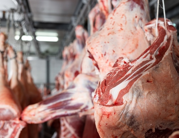 X-Ray Finds Hidden Metal in Beef Where Metal Detectors and Ultrasound Fall Short