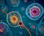 Nanoscopy Technique Reveals Hidden Networks Cells Use to Communicate