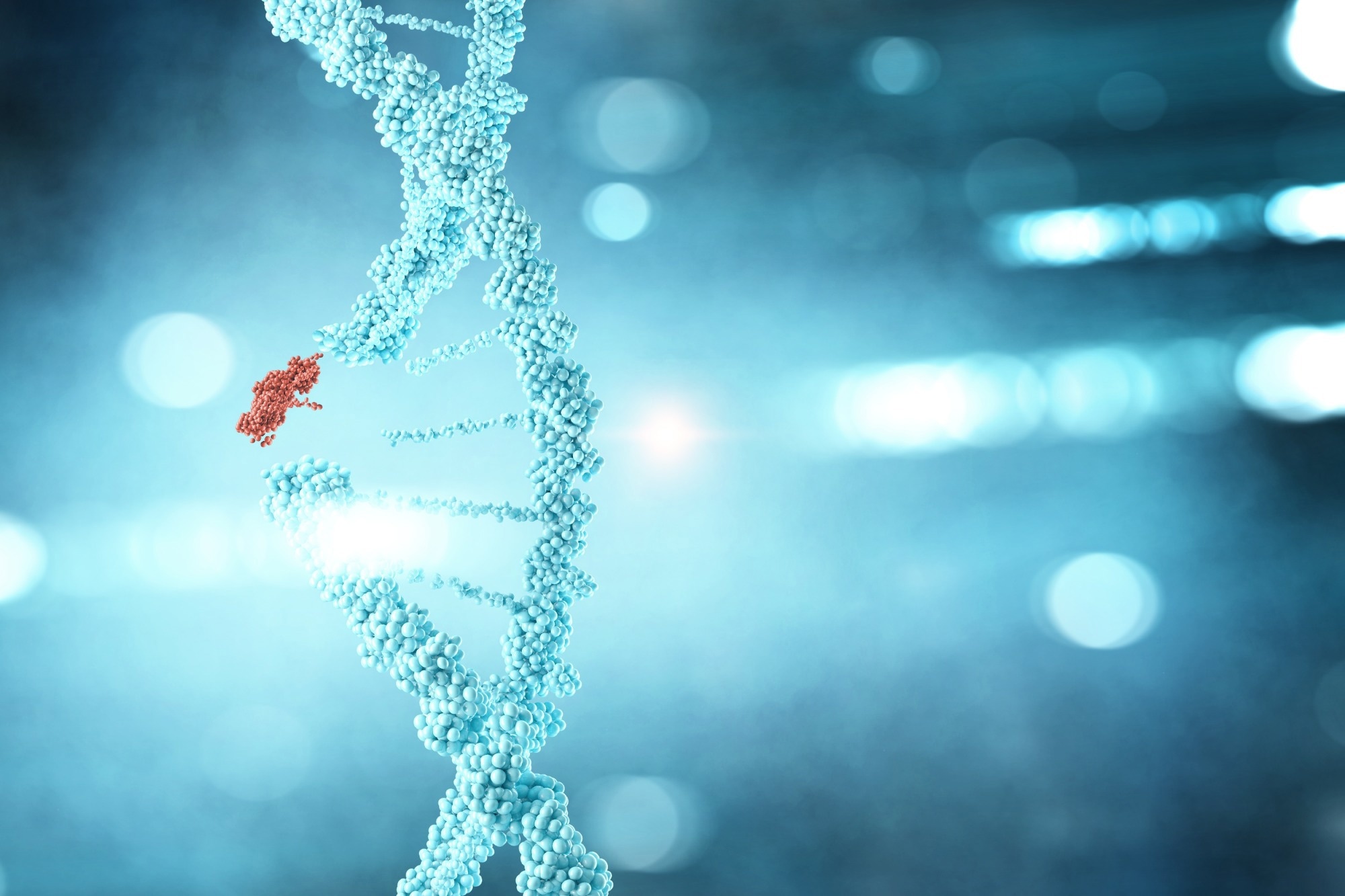 Double helix DNA strand, with small segment highlighted in red for mutation