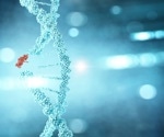 Dual-Action Protein Found to Fuel and Repair Cancer