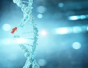 Dual-Action Protein Found to Fuel and Repair Cancer