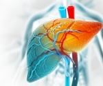 New 3D Human Liver Model Mimics Chronic Disease For 30 Days