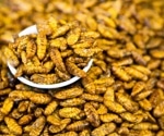 Insects, Microbes, and Food Waste May Be the Answer to the Global Food Crisis