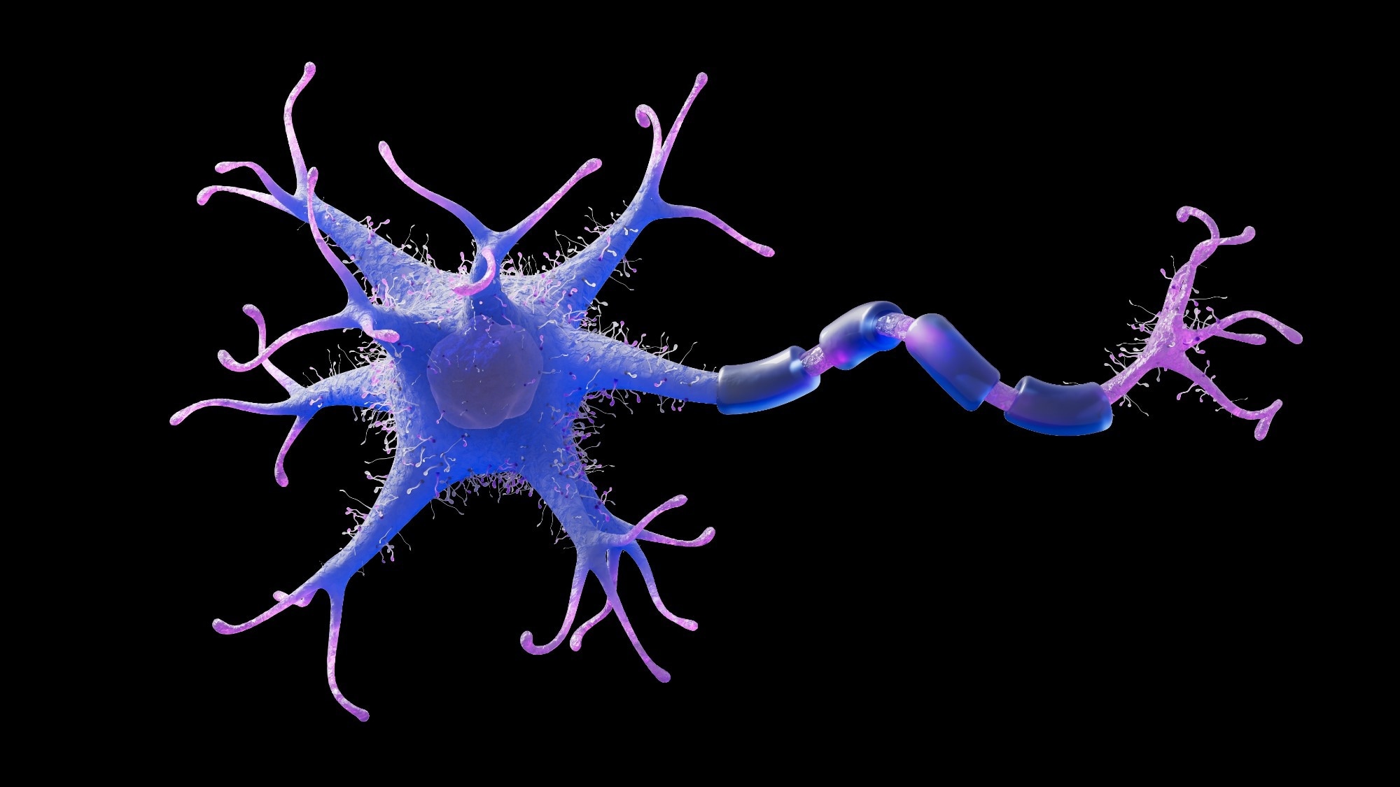 Human brain cell, neuron, on black background, axons, dendrite. 3D rendering