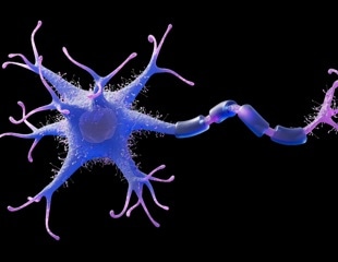 Identifying a Genetic Switch That Halts Human Nerve Regeneration